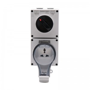factory customized Electric Stove Plug Types - 1 Gang Switch +1 Gang Multi-function Socket – Ohom